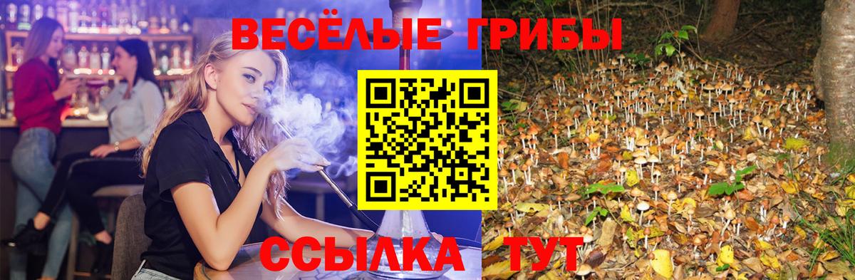 Псилоцибиновые грибы прущие грибы Трёхгорный